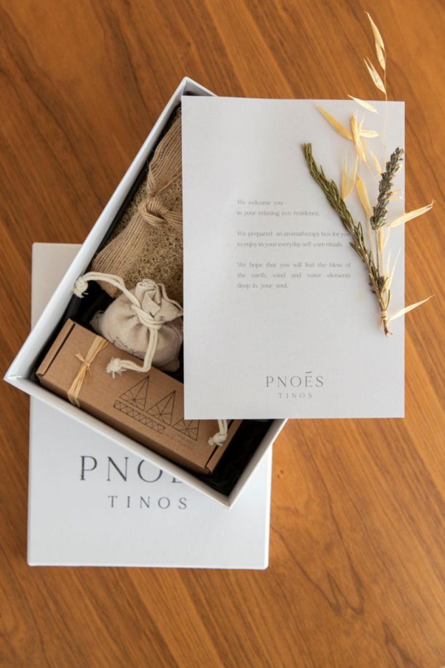 Pnoes Tinos Villa Eksteriør bilde